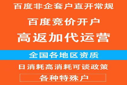 百度推广实战攻略：案例与技巧